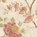 Pedana Cinnamon Wallpaper