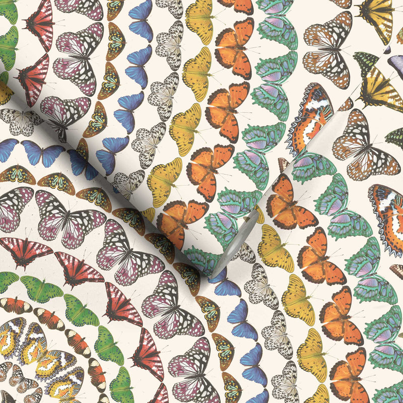 Papilion Wallpaper