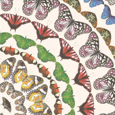 Papilion Wallpaper