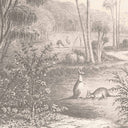 Skippy Sepia Ready Made Mural