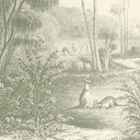 Skippy Olive Green Mural