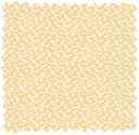 Rubigo Butterscotch Velvet Fabric