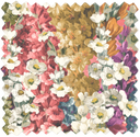 Alcea Moody Velvet Fabric