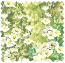 Alcea Green With Envy Velvet Fabric
