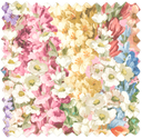 Alcea Summer Velvet Fabric