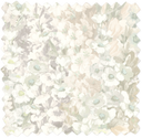 Alcea Grey Mist Velvet Fabric