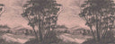 Zephyr - Just Trees Chuddy Pink Mural