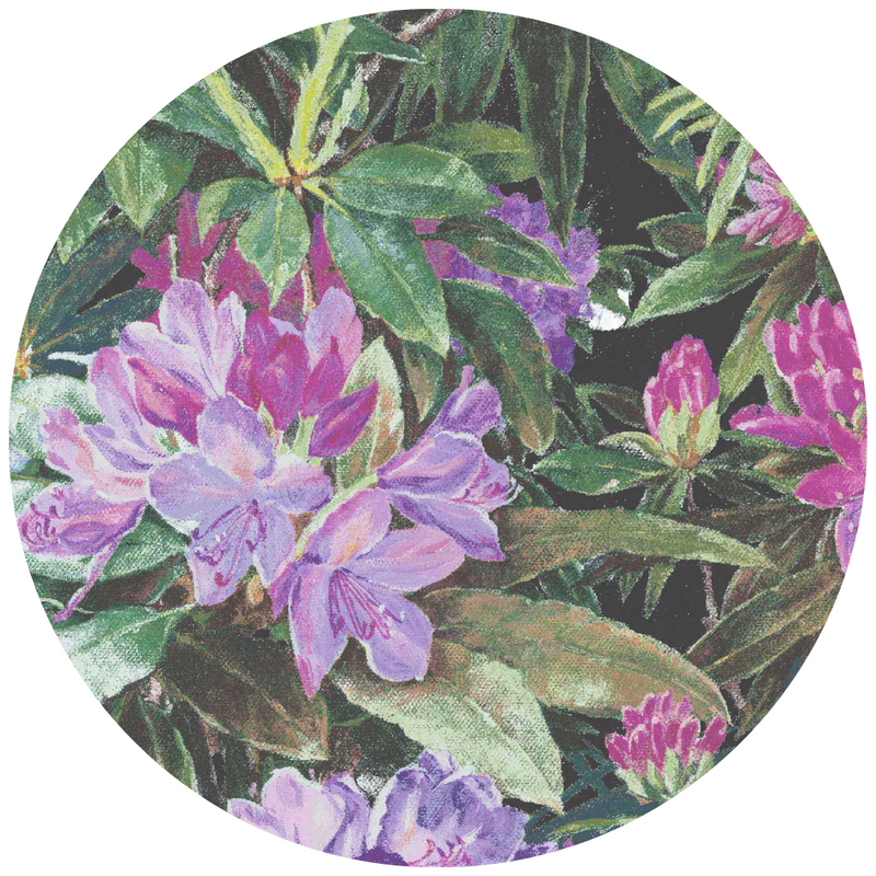 Rhododendron Purple & Black Velvet Fabric