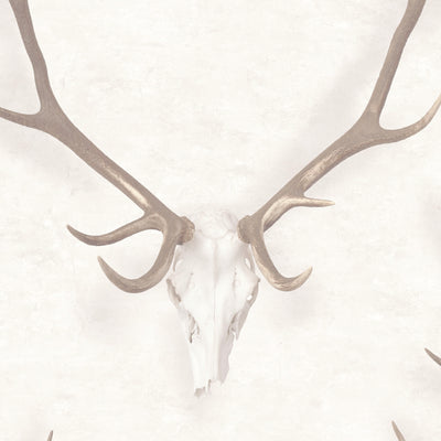 George The Stag -  No Flower Crown Wallpaper