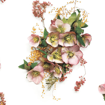 Hellebore Wallpaper by Woodchip & Magnolia