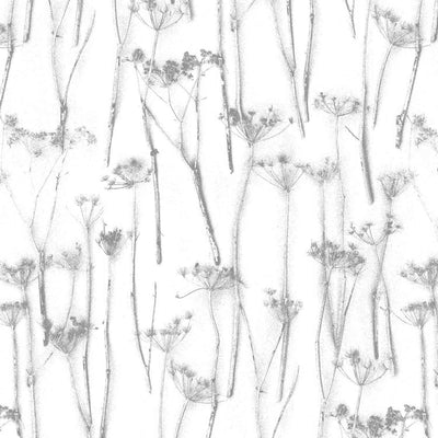 'Queens Anne's lace' Wallpaper by Woodchip & Magnolia