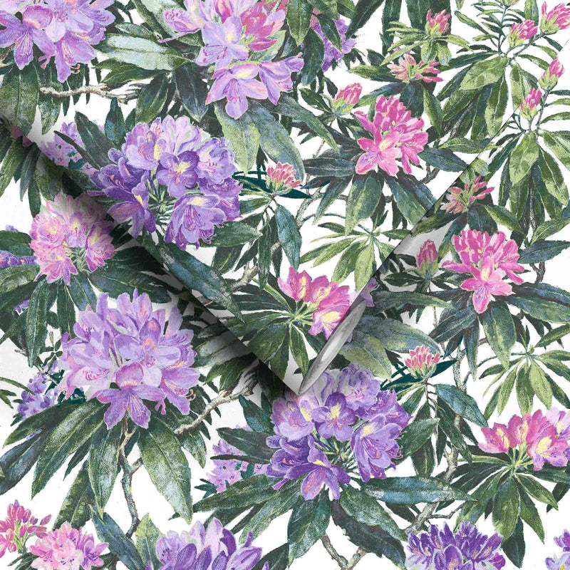 Rhododendron Purple & White Wallpaper