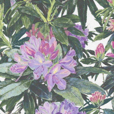 Rhododendron Purple & White Wallpaper