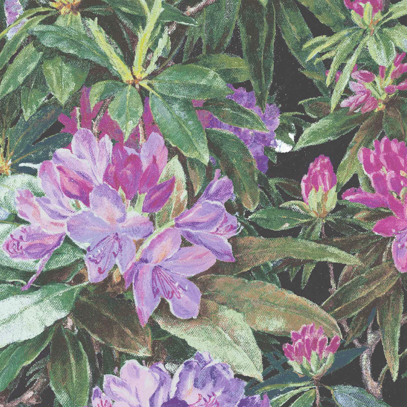 Rhododendron Purple & Black Wallpaper