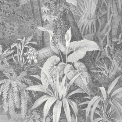 Tropical Paradise Mono Mural