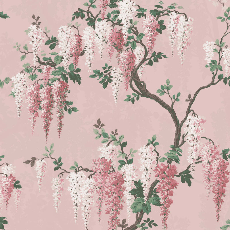 Wisteria in Pink Bloom Floral Wallpaper By Woodchip & Magnolia