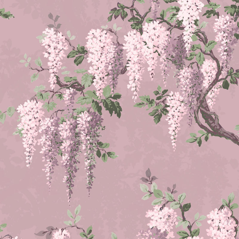  Wisteria in Deep Lavender Floral Wallpaper By Woodchip & Magnolia