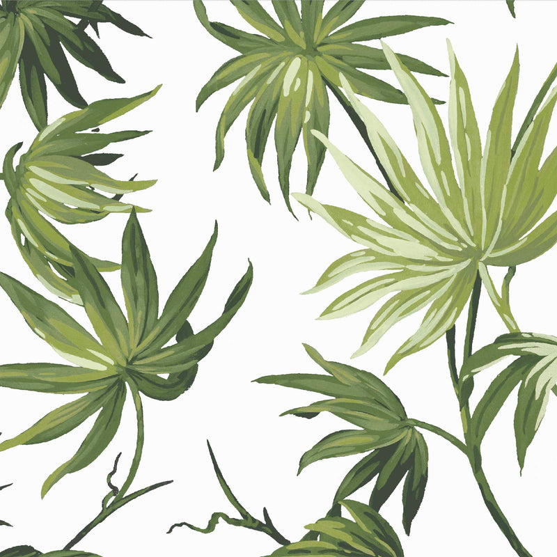 Va Va Frome Meadow Green Leaf Botanical Wallpaper By Woodchip & Magnolia