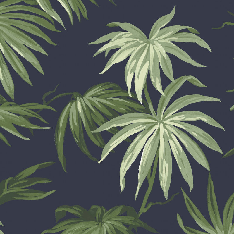 Va Va Frome Noir Green Leaf Botanical Wallpaper By Pearl Lowe