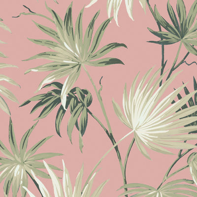 Va Va Frome Powder Pink Leaf Wallpaper By Woodchip & Magnolia