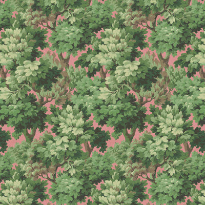 Broadhead Forest Grass Green/Salmon Wallpaper