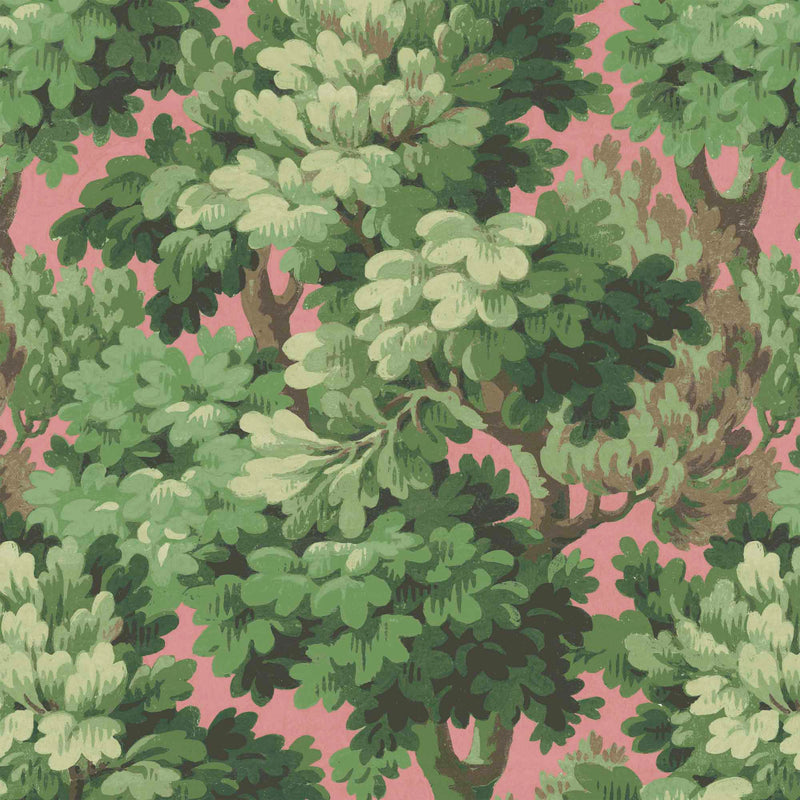 Broadhead Forest Grass Green/Salmon Wallpaper