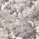 Broadhead Forest Dove Wallpaper