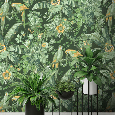 Parrot Talk Lush Green Wallpaper