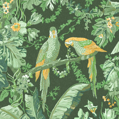 Parrot Talk Lush Green Wallpaper