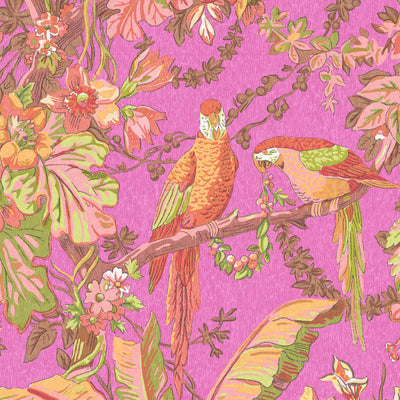 Parrot Talk Hot Pink Wallpaper
