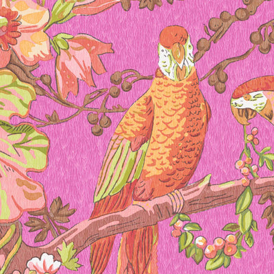 Parrot Talk Hot Pink Wallpaper