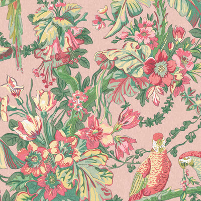 Parrot Talk Sunset Pink Wallpaper