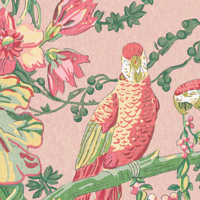 Parrot Talk Sunset Pink Wallpaper