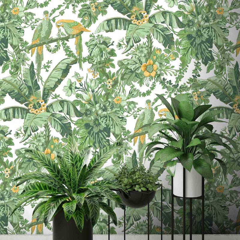 Parrot Talk Lush Green/White Wallpaper