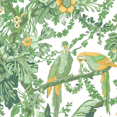 Parrot Talk Lush Green/White Wallpaper