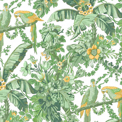 Parrot Talk Lush Green/White Wallpaper