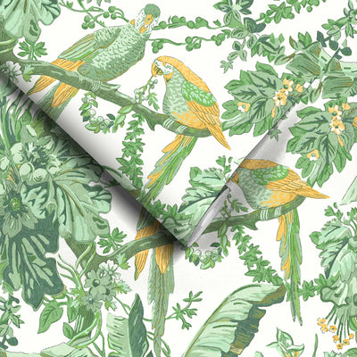 Parrot Talk Lush Green/White Wallpaper