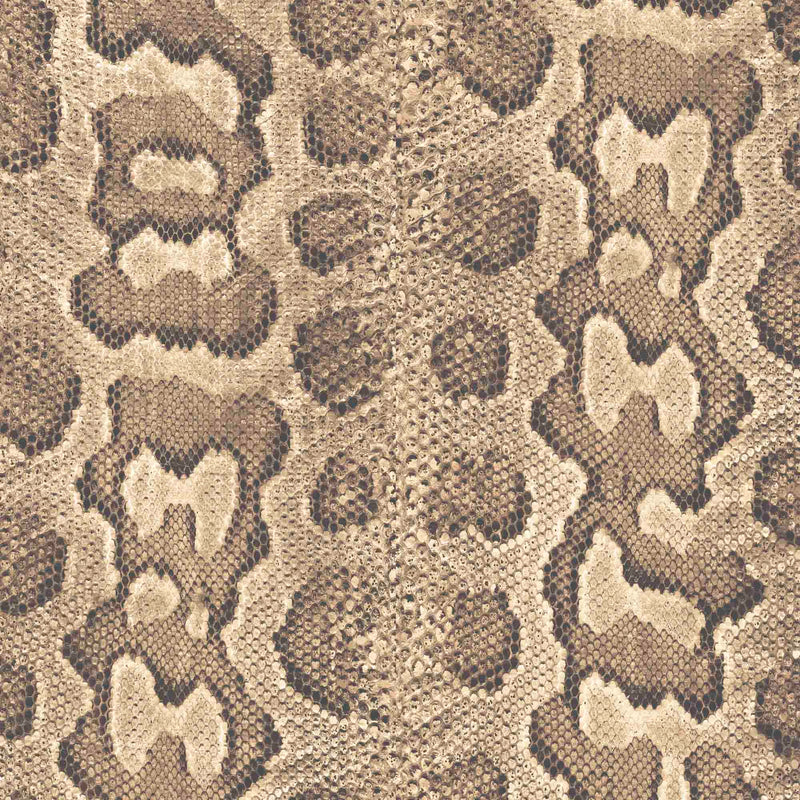 Python Print Wallpaper