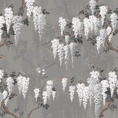 Wisteria in Latte/Slate Grey Wallpaper By Pearl Lowe