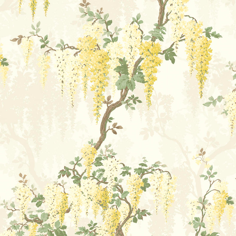 Wisteria in Lemon Yellow Wallpaper By Pearl Lowe 