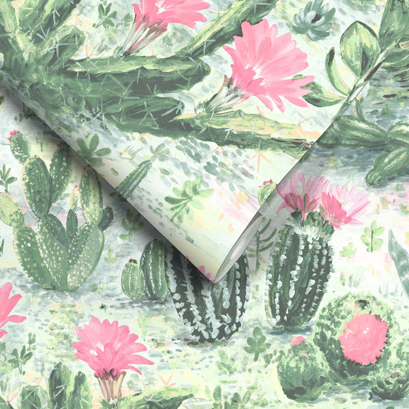 Cacti Green Pink Wallpaper