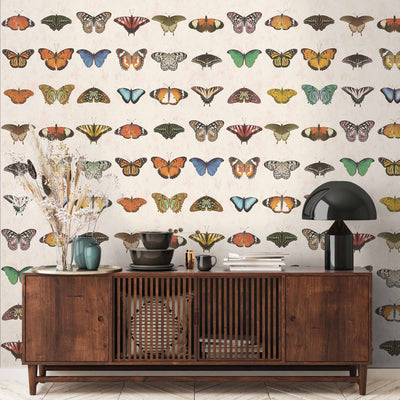 Butterfly Wallpaper - Insect Wallpaper For Walls - Woodchip & Magnolia 