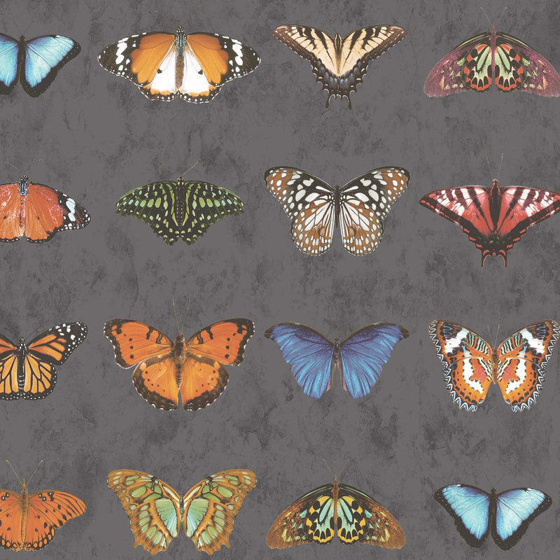 Butterfly Wallpaper  - Insect Wallpaper For Walls - Woodchip & Magnolia 