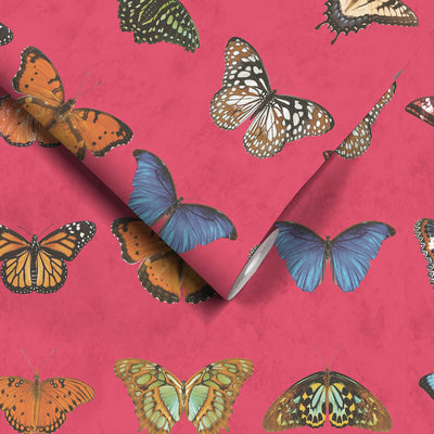 Lepidoptera Happy Pink Wallpaper