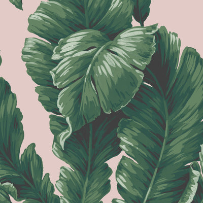 Lets Go Bananas Green/ Blush Wallpaper