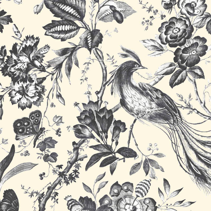 Plumage Charcoal/Cream  Wallpaper By Woodchip & Magnolia 