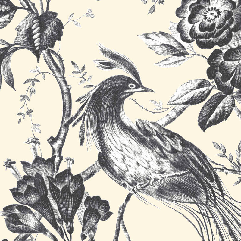 Plumage Charcoal/Cream Wallpaper By Woodchip & Magnolia 