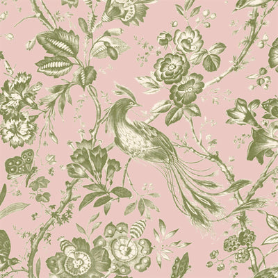 Plumage Plaster Pink/Cream Botanical Bird Wallpaper By Woodchip & Magnolia 