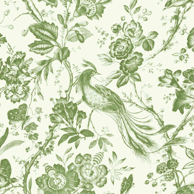 Plumage Green on Green Wallpaper