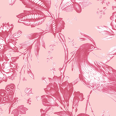 Plumage Peony Pink Botanical Bird Wallpaper By Woodchip & Magnolia 